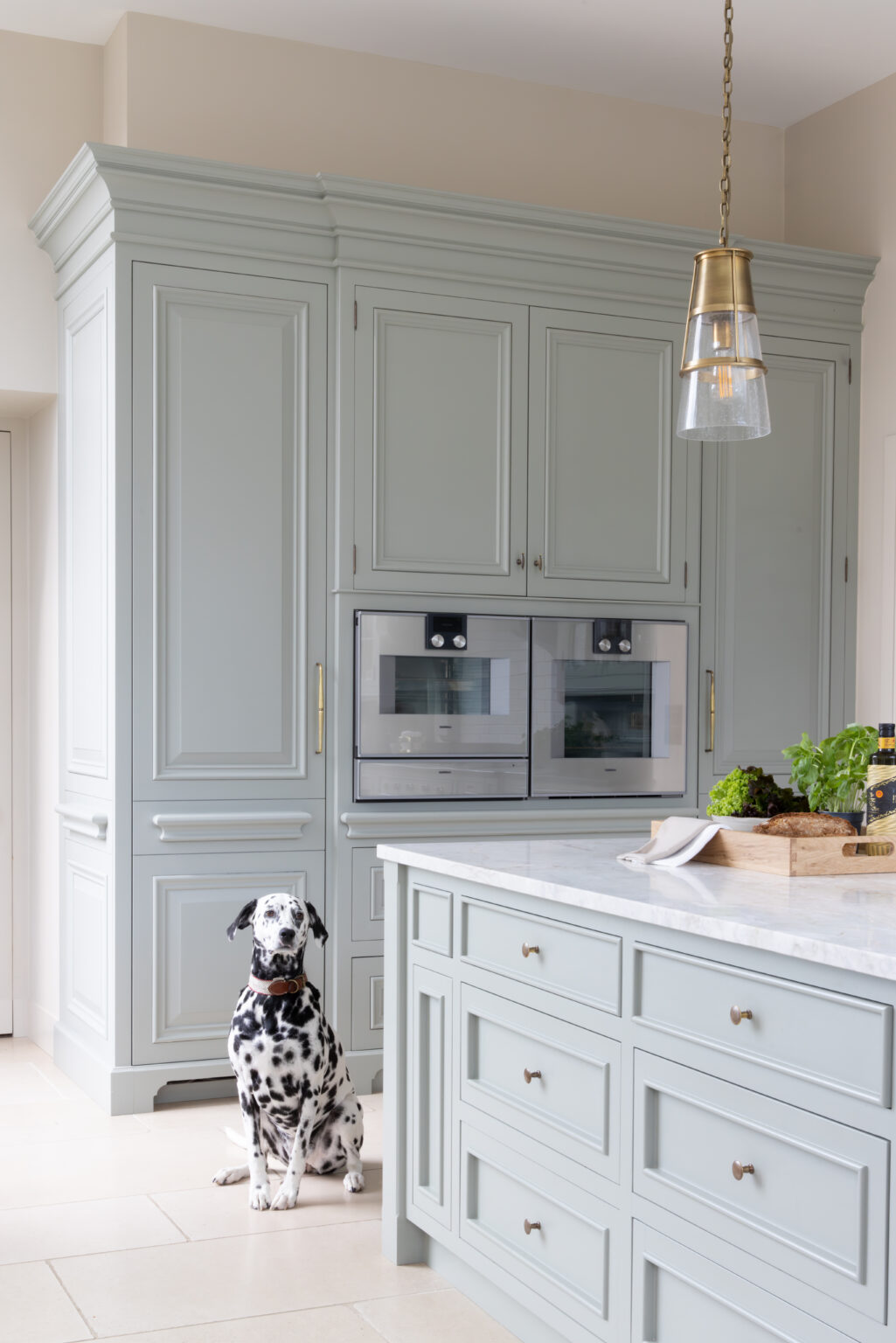 Sage Green kitchen with integrated ovens, brass pendant light and stone-topped island, a Dalmatian sitting nearby